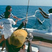 JA Jebel Ali Beach Hotel offers Fishing packages