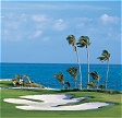 Caribbean Packages