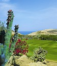 Mexico Packages