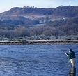 Scotland Speciality