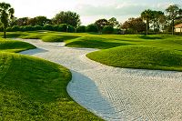Bay Hill