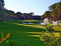Carya GC