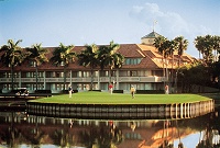 Doral Golden Palm