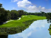 Doral Silver Fox
