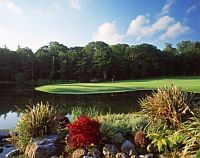 Fota Island - Deer Park