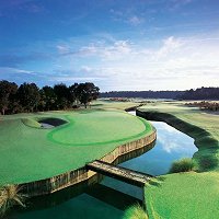 Grand Cypress New Course
