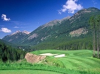 Greywolf