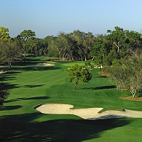 Innisbrook - Copperhead