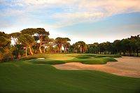 Montgomerie Maxx Royal