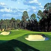 T Golf Palma Puntiro