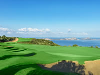 The International Olympic Academy Course