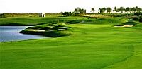 The Montgomerie