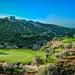 Aphrodite Hills Holiday Residences