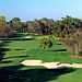 Innisbrook Golf Resort