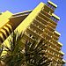 Myrtle Beach Hilton