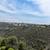 Elite Villa View