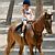 Horse Riding