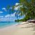 Beach View
