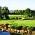 Golf Course