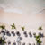 Eden Roc Cap Cana