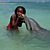 Dolphin Swimming