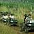 Quad Biking on Valriche Reserve
