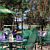 Bamboos Patio
