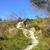 Bike Trails