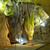 Millenary caves