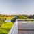 Suite Terrace