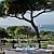 Verbasco at The Clubhouse - surrounded by umbrella pine trees and Atlantic views.