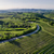 Vineyard